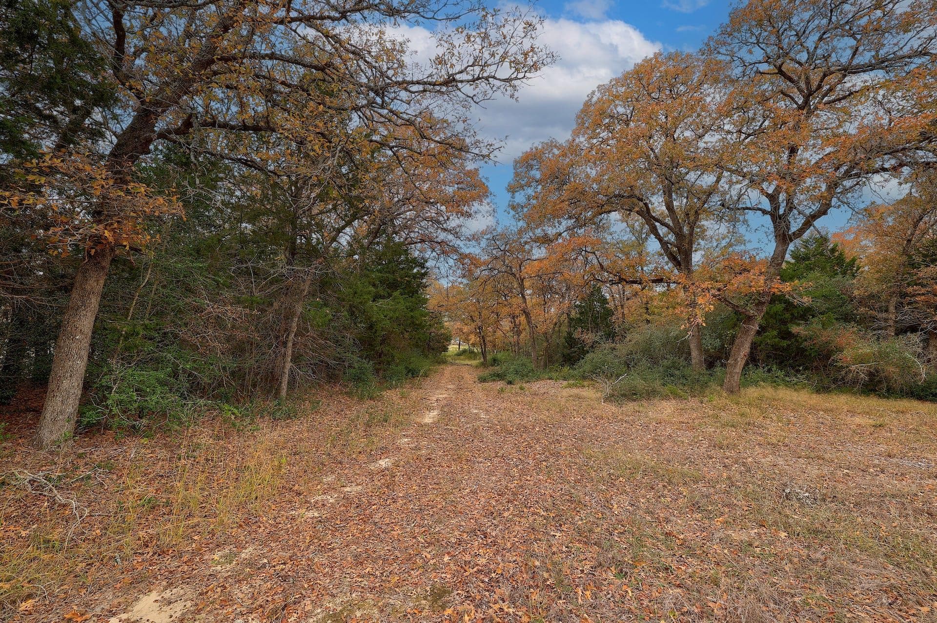 1563 County Road 312 Rd, photo 5