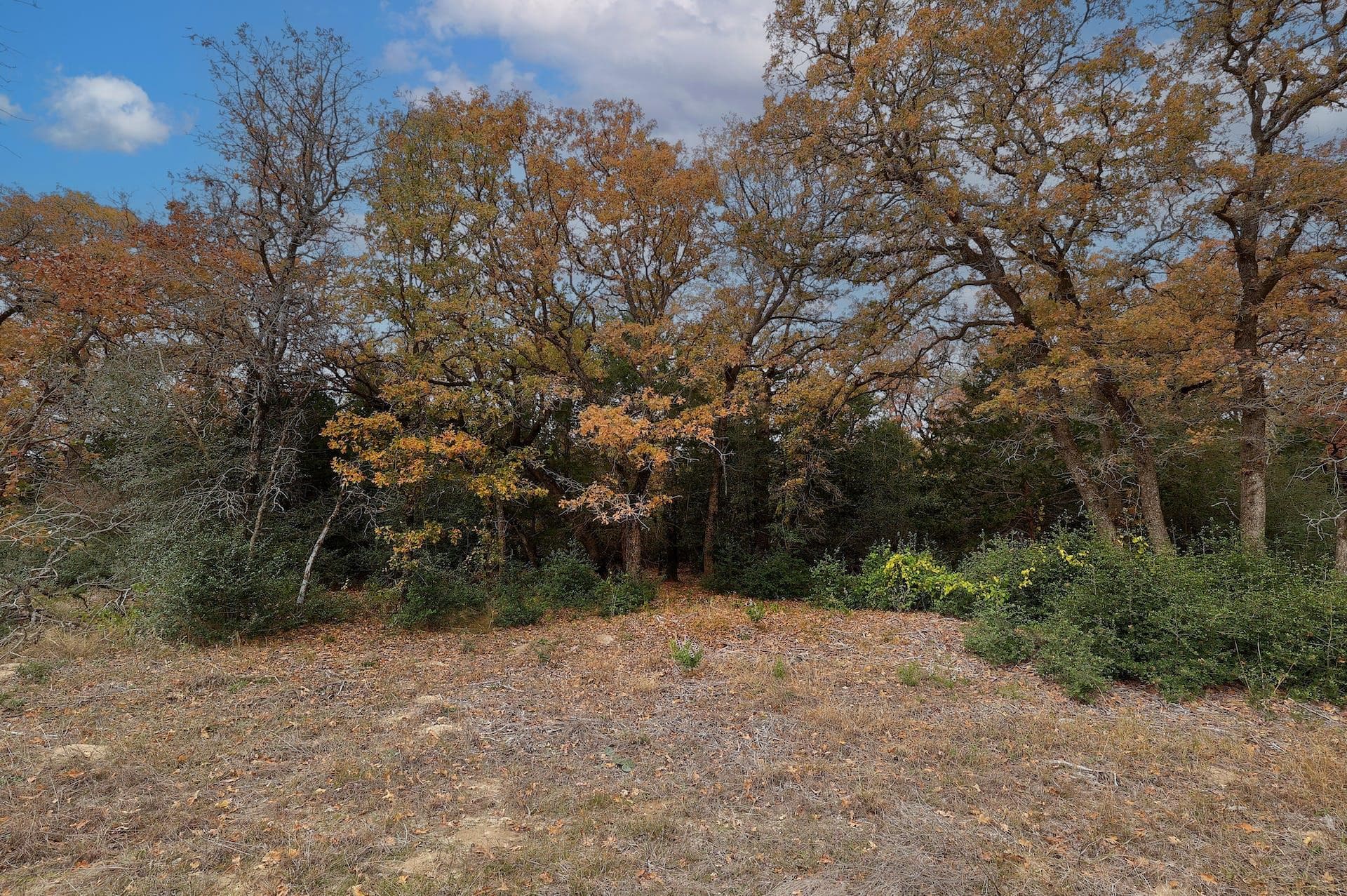 1563 County Road 312 Rd, photo 4